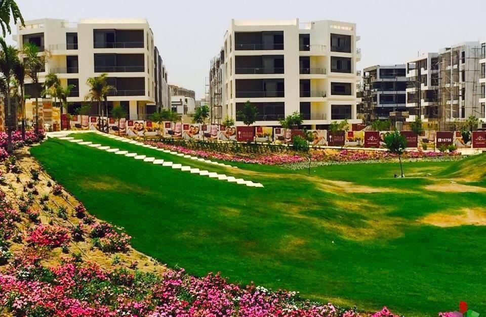 Tag Sultan – Tag Sultan Compound