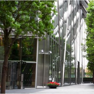 Swan Lake Hassan Allam Residence New Cairo