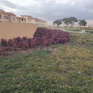 Hyde Park New Cairo – Hyde Park Egypt