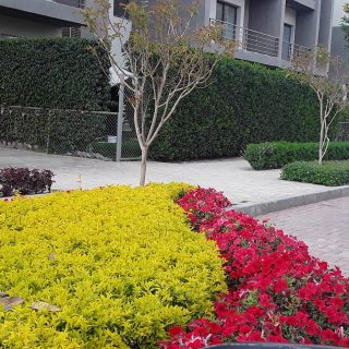 Fifth Square Compound New Cairo – Al Marasem Fifth Square