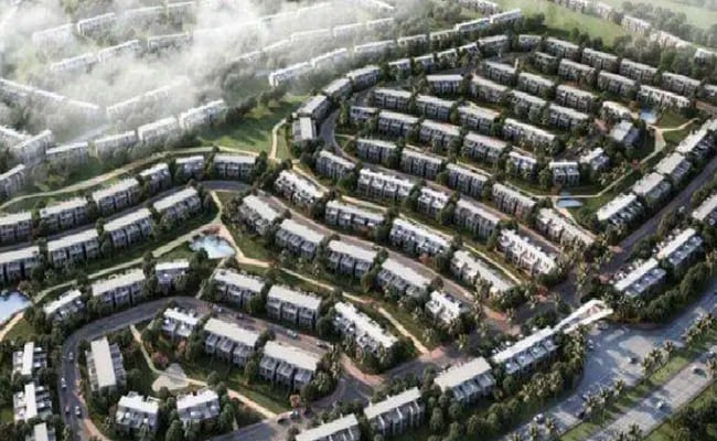 Rare Compound Egypt – Rare Compound Sabbour