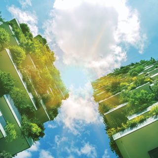 Il Bosco New Capital Misr Italia