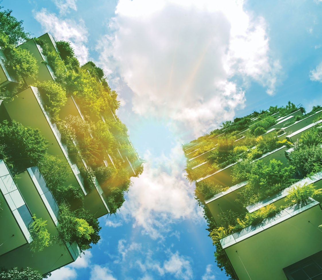 Il Bosco New Capital Misr Italia