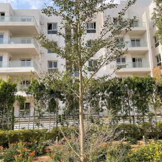 Mountain View iCity October Compound