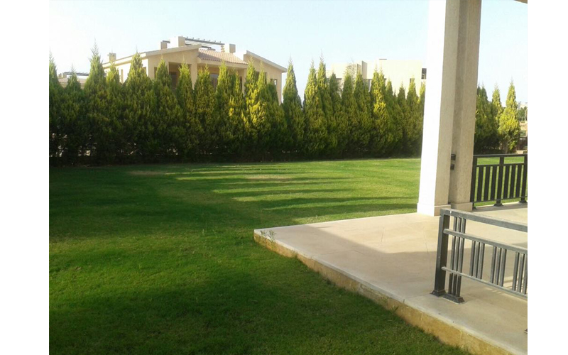 Allegria Compound Sheikh Zayed – Allegria Sodic