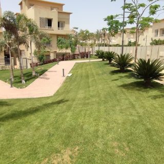 Jedar Compound 6 October Iwan