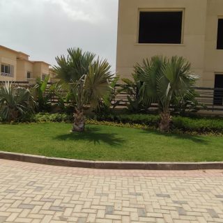 Jedar Compound 6 October Iwan