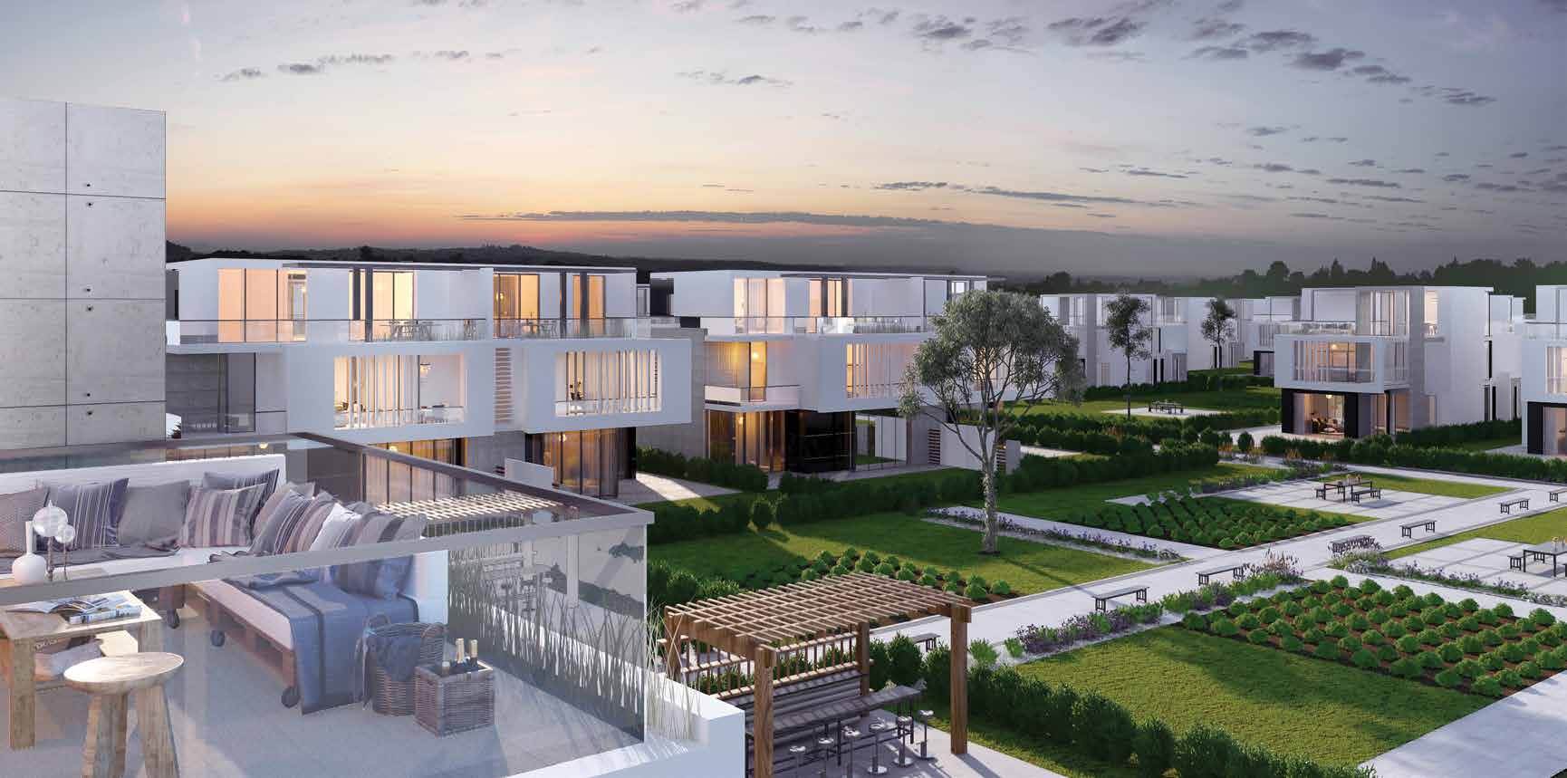 Joulz Compound 6 October Inertia