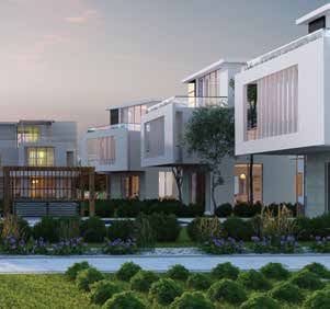 Joulz Compound 6 October Inertia