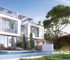 Joulz Compound 6 October Inertia