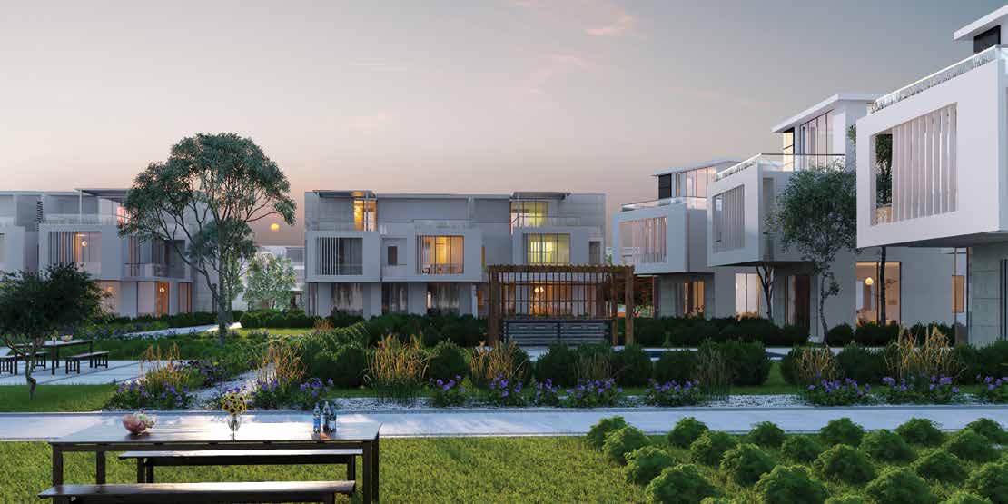 Joulz Compound 6 October Inertia