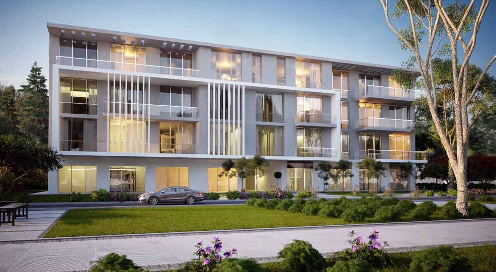 Joulz Compound 6 October Inertia