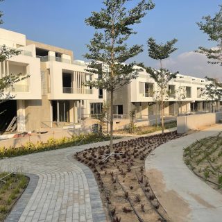 Joulz Compound 6 October Inertia