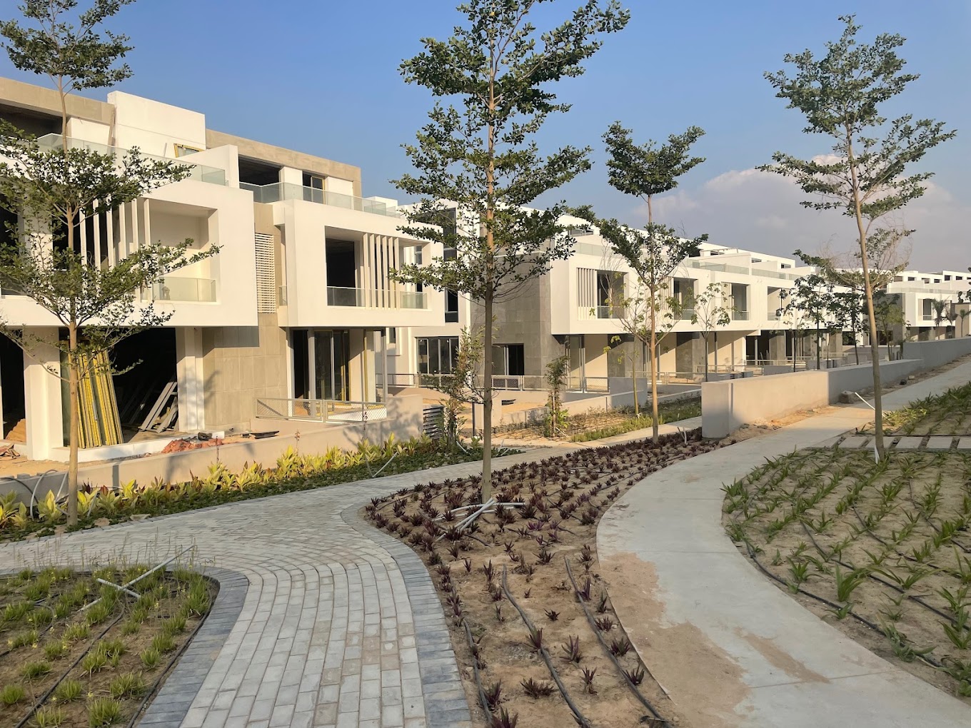 Joulz Compound 6 October Inertia