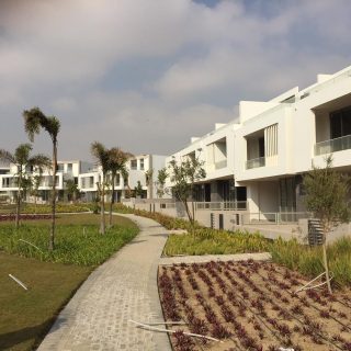 Joulz Compound 6 October Inertia