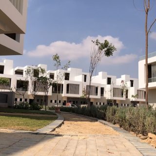 Joulz Compound 6 October Inertia