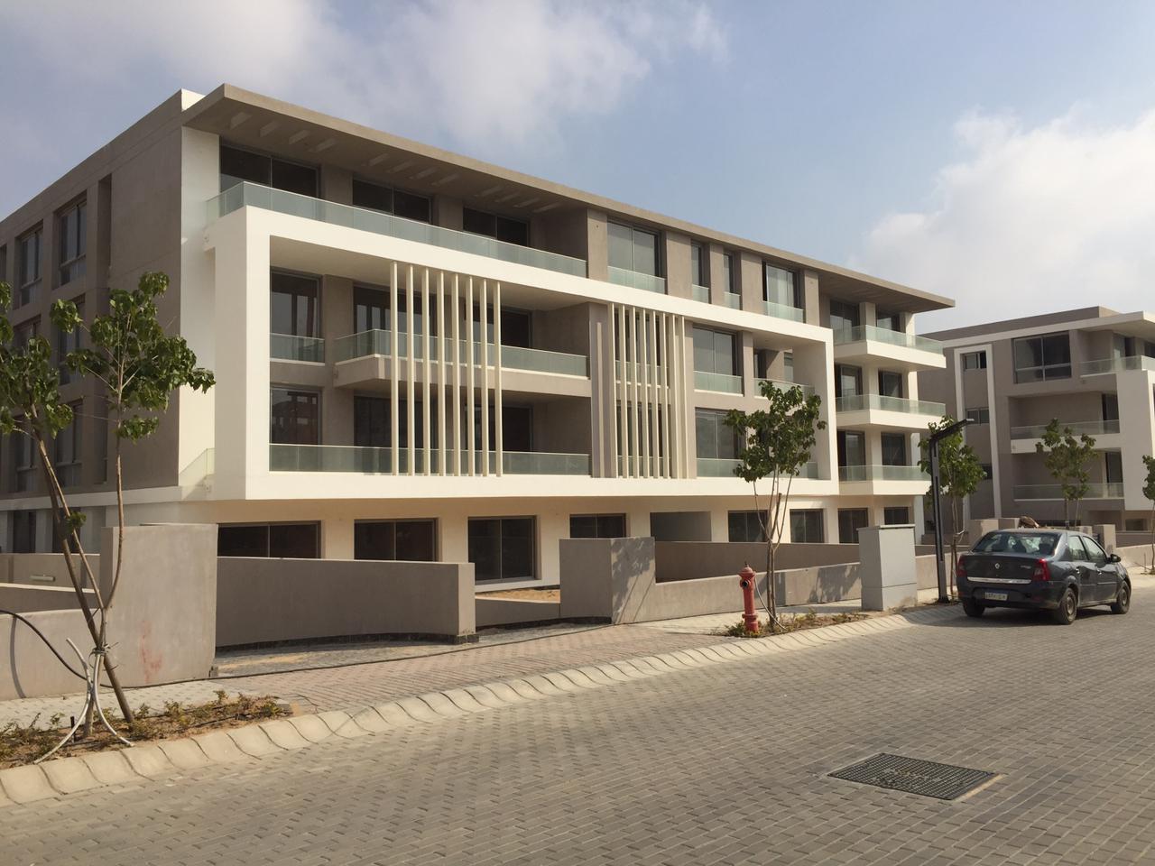 Joulz Compound 6 October Inertia