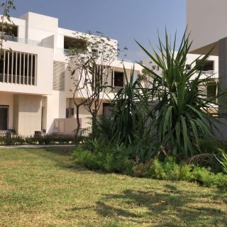 Joulz Compound 6 October Inertia