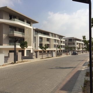 Joulz Compound 6 October Inertia