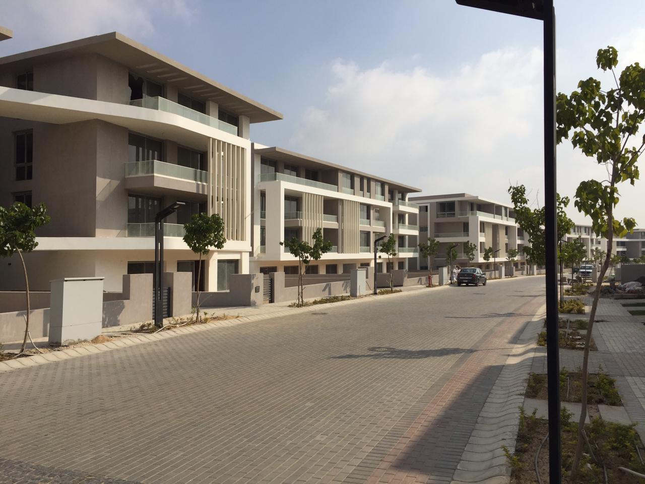 Joulz Compound 6 October Inertia