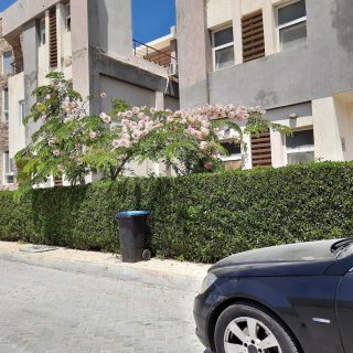 Marseilia Beach 4 North Coast