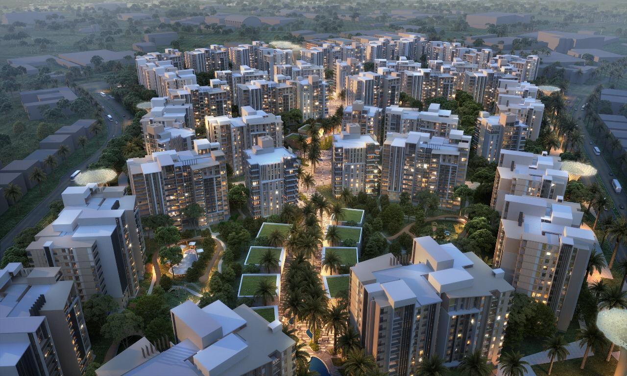 Zed Towers – Zed Zayed