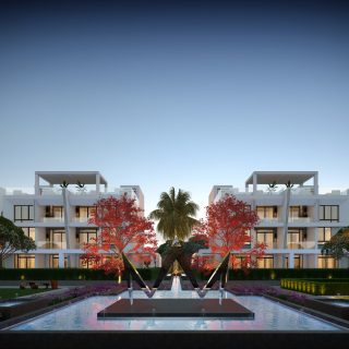 Zayard Sheikh Zayed Compound Palmier