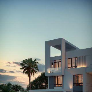 Zayard Sheikh Zayed Compound Palmier