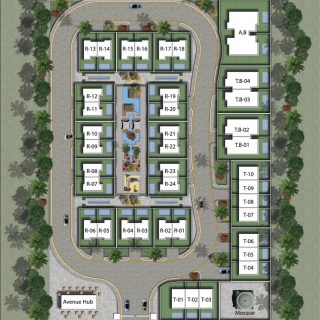 Zayard Sheikh Zayed Compound Palmier