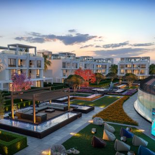 Zayard Sheikh Zayed Compound Palmier