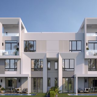 Zayard Sheikh Zayed Compound Palmier