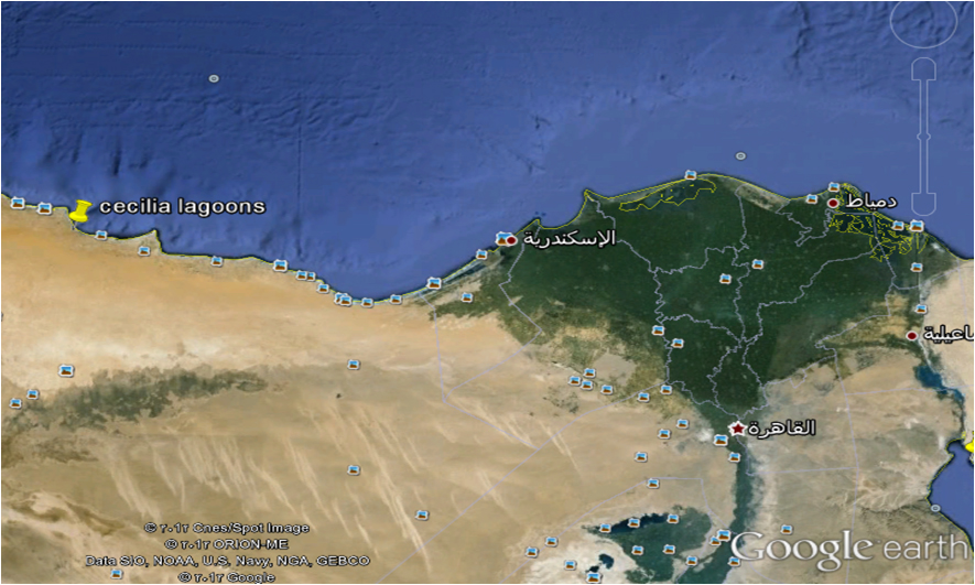 Cecilia Lagoons Resort North Coast Ibn Sena Development