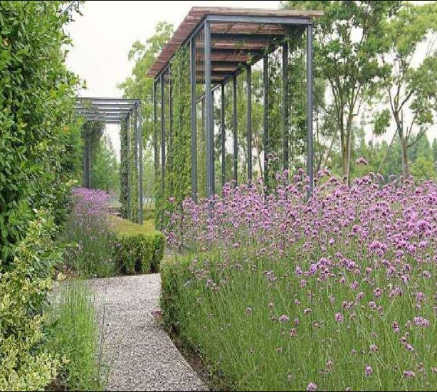 شقة لقطة للبيع 173م في Il bosco New Capital بسعر خيالي