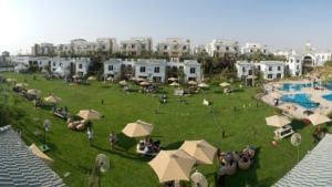 2 غرفة نوم شقق للبيع في ماونتن فيو 3