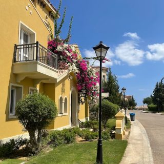 Mountain View Diplomats North Coast