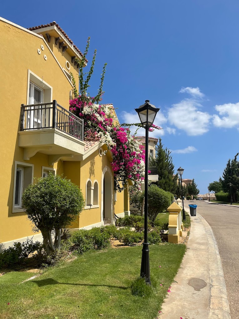 Mountain View Diplomats North Coast