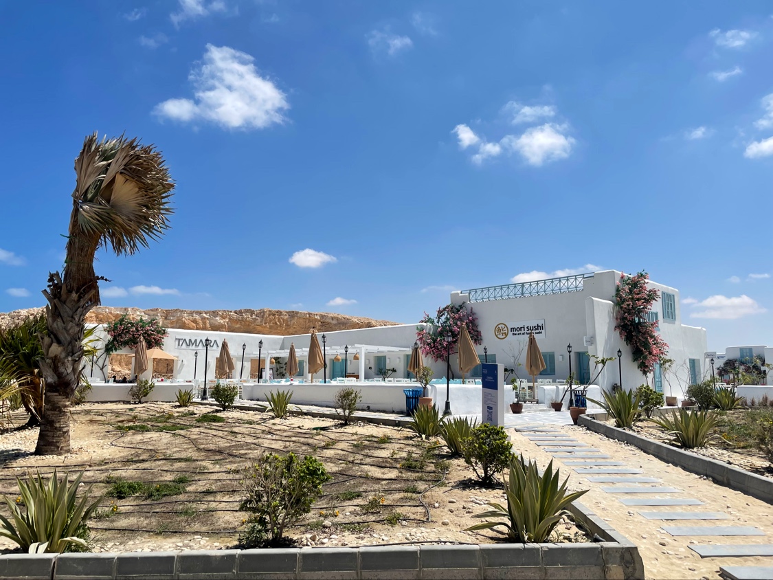 Mountain View Diplomats North Coast