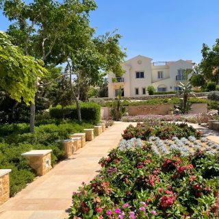 Mountain View Diplomats North Coast