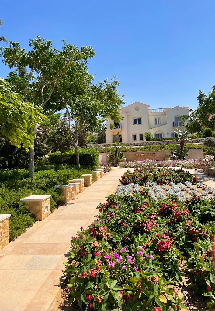 Mountain View Diplomats North Coast