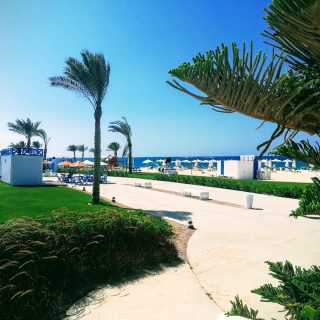 Mountain View Diplomats North Coast