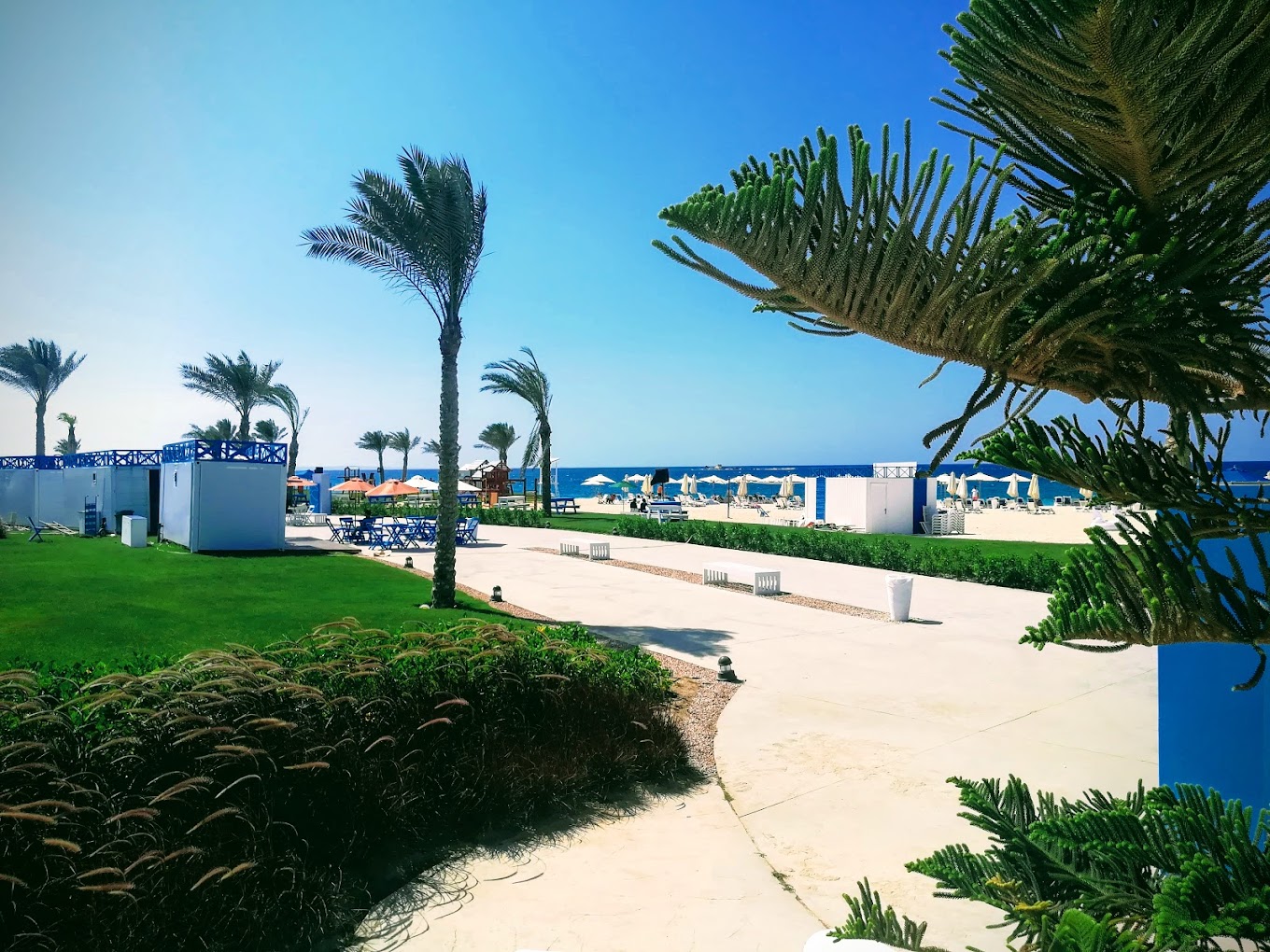 Mountain View Diplomats North Coast