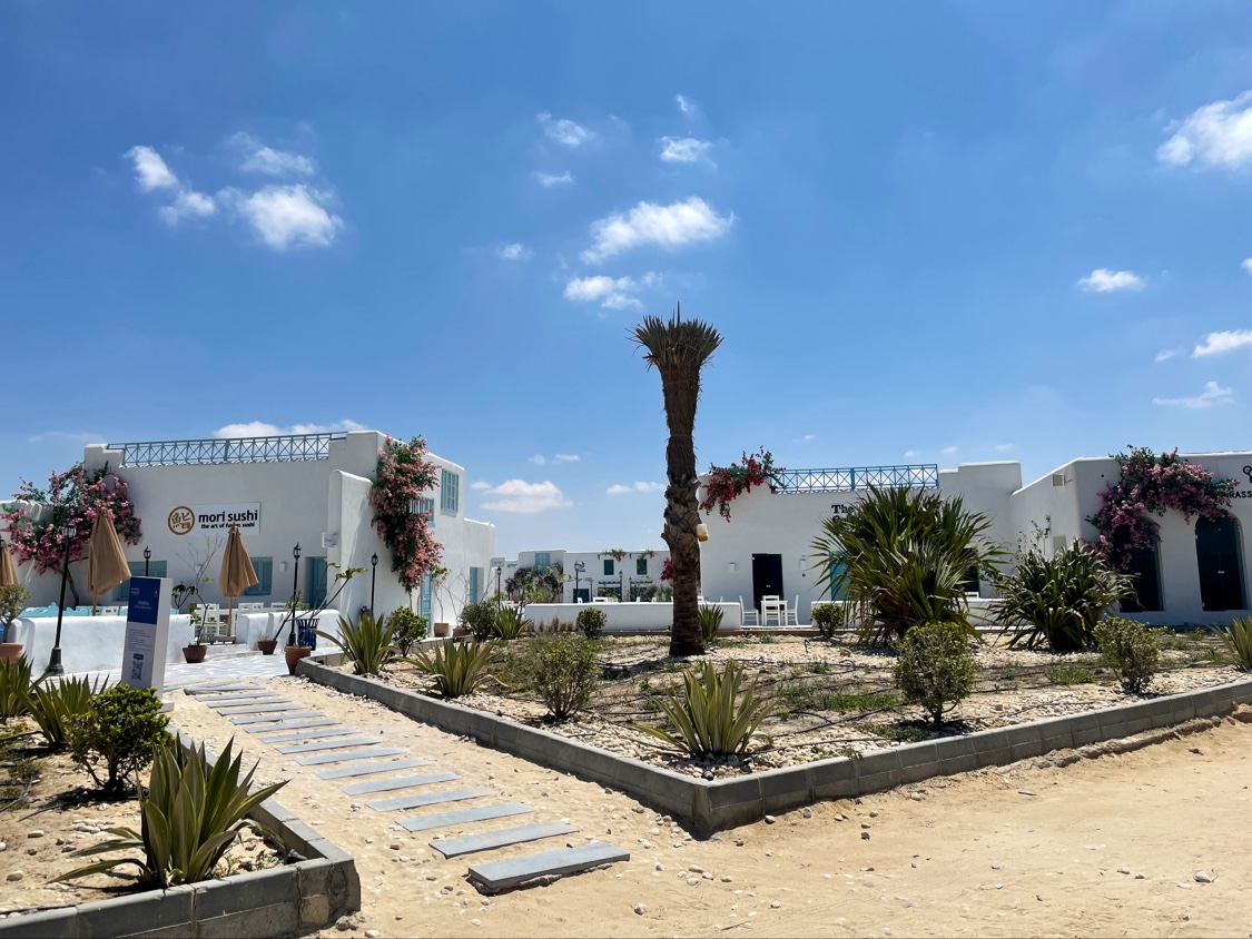 Mountain View Diplomats North Coast