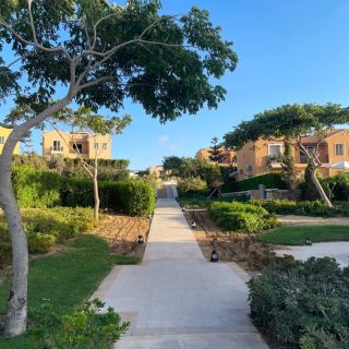 Mountain View Diplomats North Coast