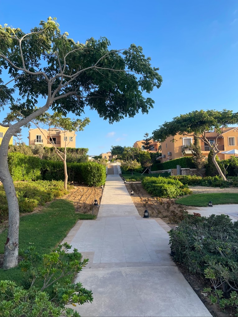 Mountain View Diplomats North Coast