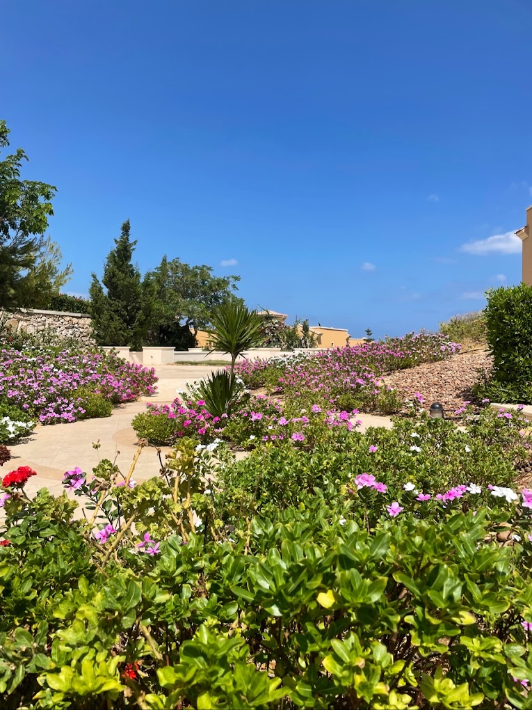 Mountain View Diplomats North Coast