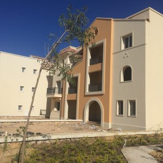 Mountain View Diplomats North Coast