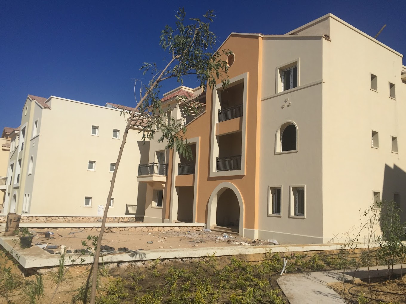 Mountain View Diplomats North Coast