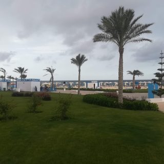 Mountain View Diplomats North Coast