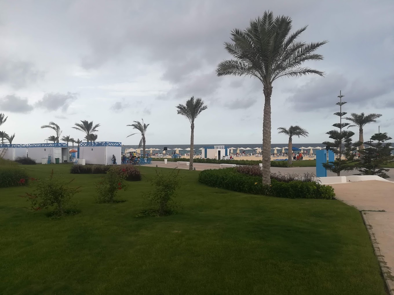 Mountain View Diplomats North Coast