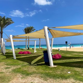 Mountain View Diplomats North Coast